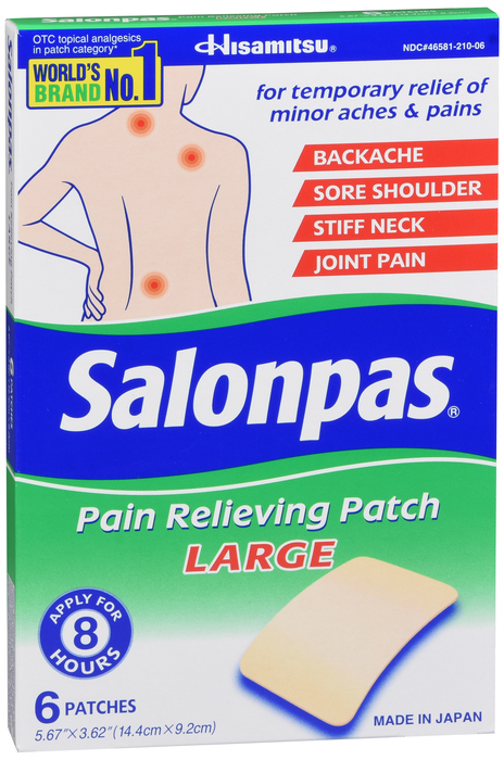 Salonpas Pain Relieving Large 